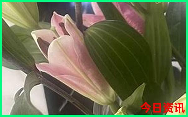 南疆旅游最佳季节